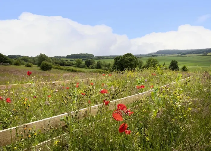 Thirley Cotes Farm Nyaraló Scarborough